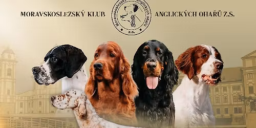 Klubov\u00e1 v\u00fdstava anglick\u00fdch oha\u0159\u016f