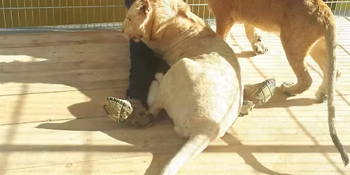 Przes\u0142uchanie \u0141ukasza