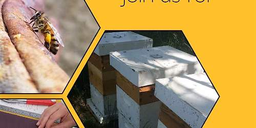 Open Farm Days: A Beekeeping Experience + Rolled Candle Workshops