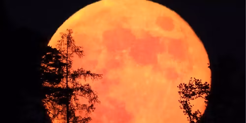 \u00daPL\u0147KOV\u00c9 BUBNOV\u00c1N\u00cd