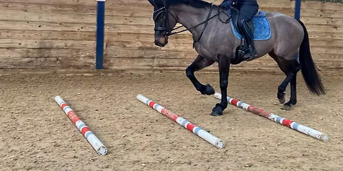 Pole Clinic at Emmetts on Exmoor
