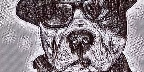 \u2764\ufe0f Ask The Dog @ The George & Dragon \u2764\ufe0f