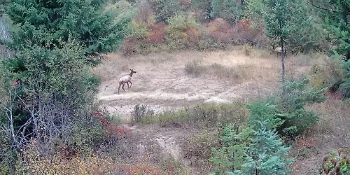 ArmyNavy Game meet n greet