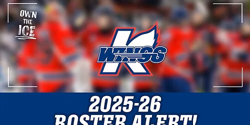 Rapid City Rush at Kalamazoo Wings