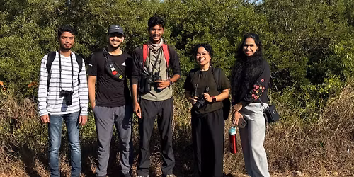 Mangrove Walk at Gorai