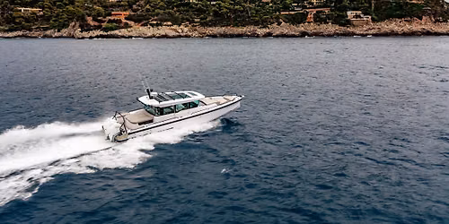 Experience the Norfolk Latino Music & Food Festival from the Water | SeaEO Luxury Boat Charters