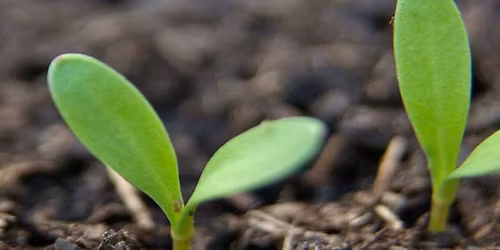 MINDFULNESS FOR BEGINNERS - A 3-night mindfulness retreat, full-board in an 18th century mansion