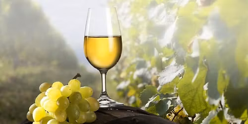 Zb\u00fd\u0161ovsk\u00e9 slavnosti v\u00edna 2026