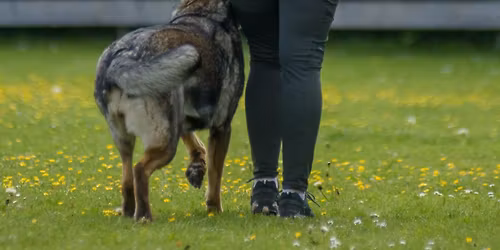 Herbstpr\u00fcfung 2025