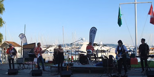 The Turdles at Elliott Bay Marina
