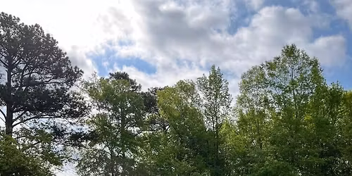 Triangle Shala Yoga Class