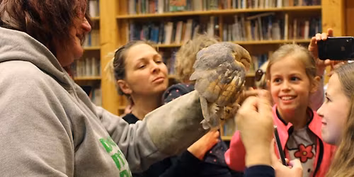 Sov\u00ed noc v Domu p\u0159\u00edrody