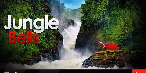 Jungle Bells! | Green Christmas in Uganda