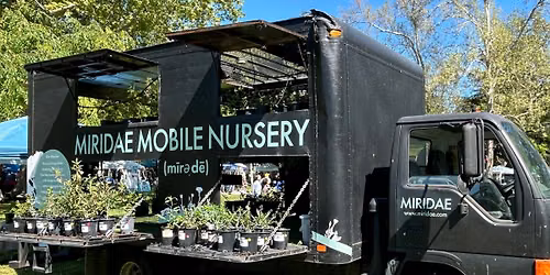 Bringing California Native Plants to You with Miridae Mobile Nursery