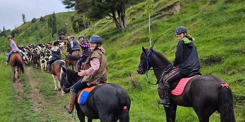 3 Day Waitangi Weekend Adult Horse Riding Camp