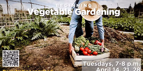 Beginning Vegetable Gardening