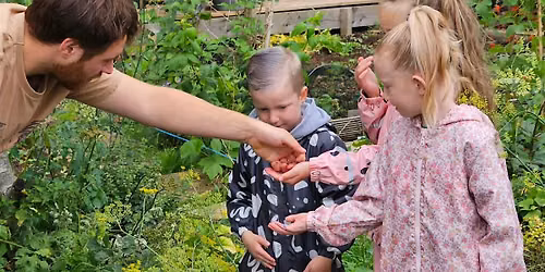 Outdoor Discovery day at the Allotment
