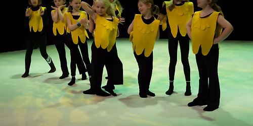 Bergen Dansesenters Sommerforestilling 2026