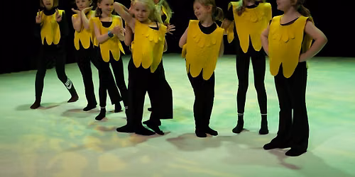 Bergen Dansesenters Sommerforestilling 2026