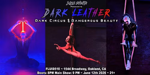 Dark Leather: Dark Circus + Dangerous Beauty