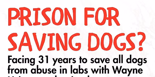 Prison for Saving Dogs? (Lunch w\/ Ridglan Farms beagle rescuers)