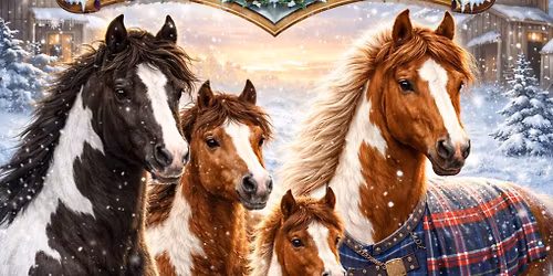 The Pinto Horse Association of NSW Winter Woolies 2026 
