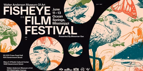 Fisheye Film Festival \ud83c\udfa5