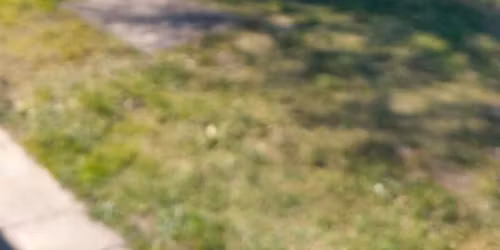 Nar\u00e1\u017een\u00ed velikono\u010dn\u00edho speci\u00e1l\u016f