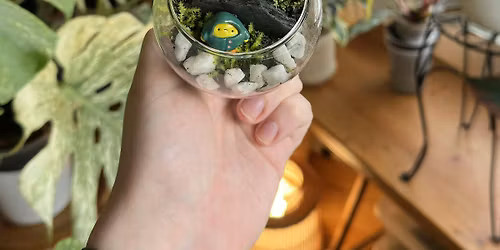 Live Moss Terrarium Workshop
