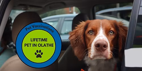 Sit 'N Serve Vaccination - Olathe