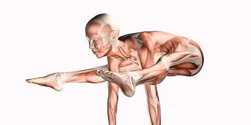 A Study in the Anatomy and Physiology of Yoga