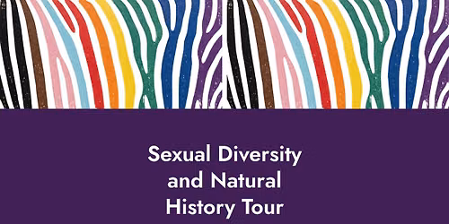 Pride Museum Tour
