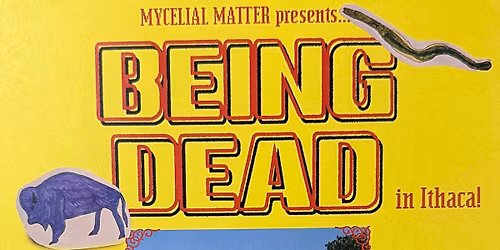 Being Dead at Angry Mom Records