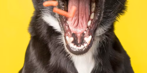 Christmas Nibbles and late night shopping