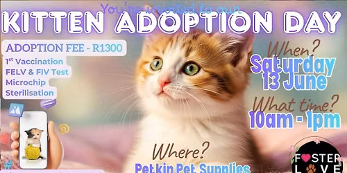 Kitten Adoption Day