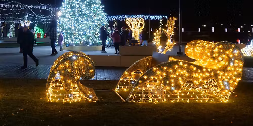 Tree Lighting Ceremony with Santa