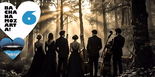 N\u00e1stroj and\u011bl\u016f i smrti | 6. koncert 14. sez\u00f3ny Bacha na Mozarta! v Brn\u011b