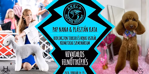 Bedlington terrier \u00e9s hobbi uszk\u00e1r kozmetikai szemin\u00e1rium Pap Nan\u00e1val \u00e9s Pl\u00e1szt\u00e1n Kat\u00e1val