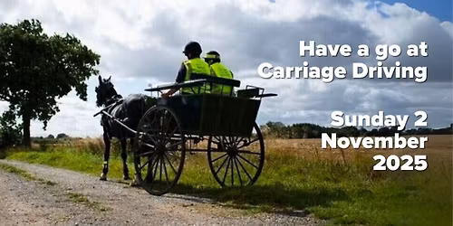 Have a go at Carriage Driving with Karina Speaks