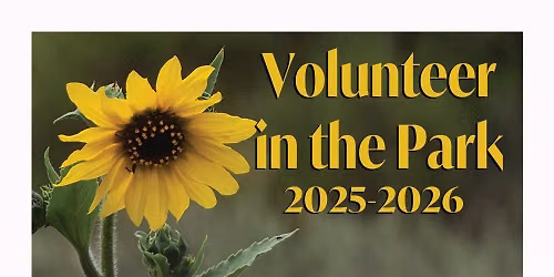 Volunteer Day