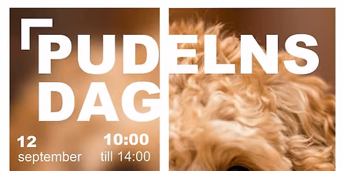 Pudelns dag