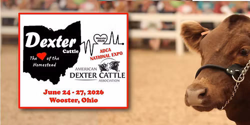  ADCA National Dexter Expo 2026
