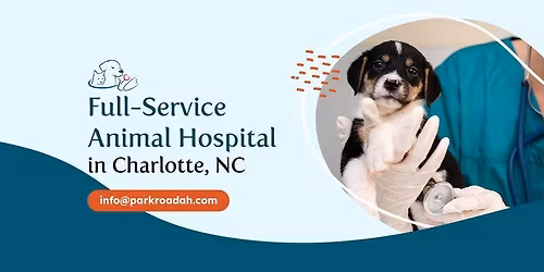 Santa \ud83e\uddd1\u200d\ud83c\udf84 \ud83d\udc3e Paws