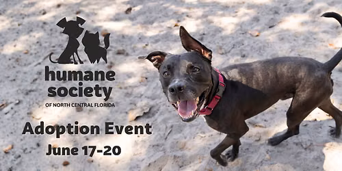 Dog\/Cat Adoption Event