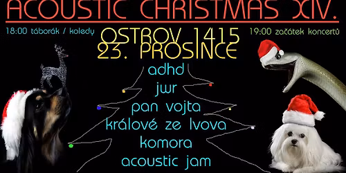 Acoustic Christmas XIV.