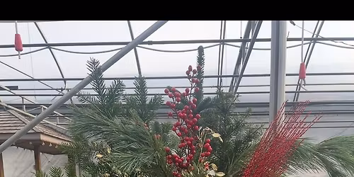 Live Green Porch Pots