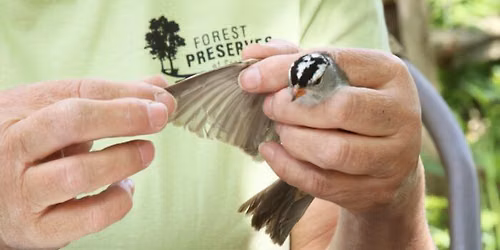 Bird Banding