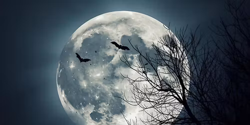 Halloween at Gothic Trading!