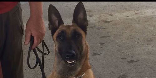 Rhode Island War Dog and Police K9 Memorial