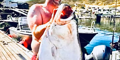 Treretters torskemiddag \u00e0 la Christer \ud83c\udfa3